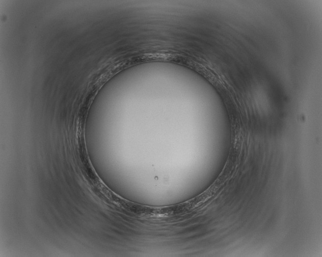 X0000085210647200703090830