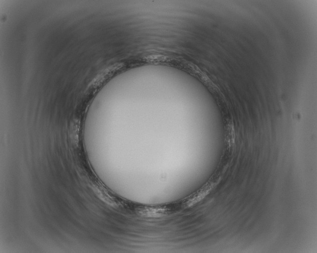 X0000085210664200703090830