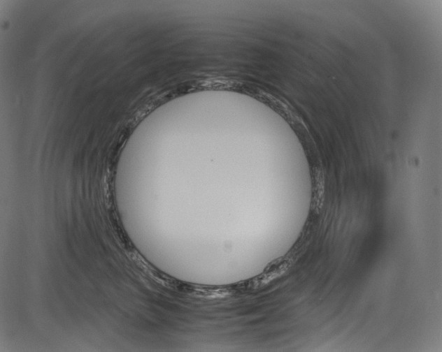 X0000085210667200703090830