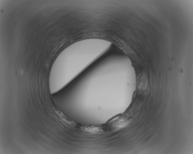 X0000085210669200703090830