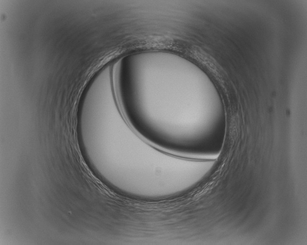 X0000085210673200703090829