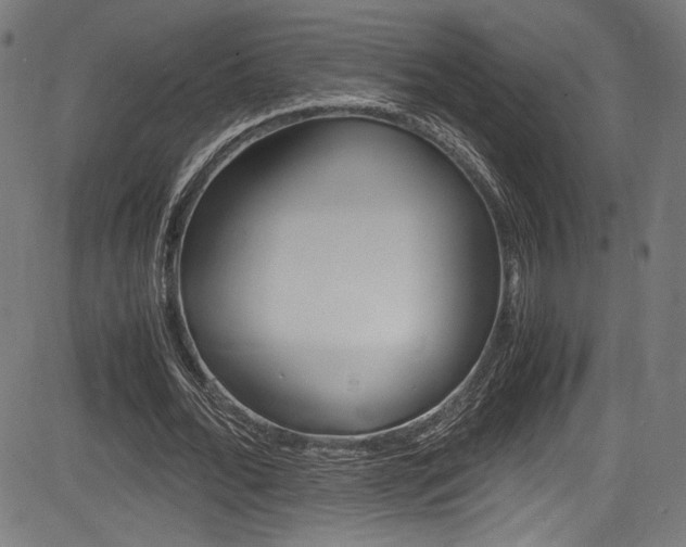 X0000085210676200703090829