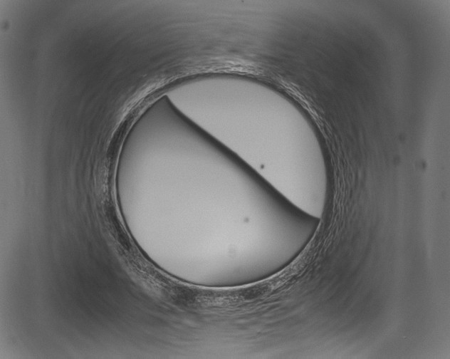 X0000085210679200703090829