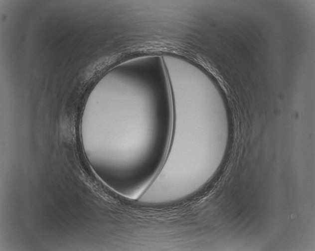 X0000085210681200703090829