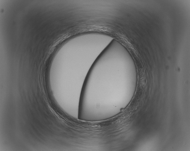 X0000085210683200703090829