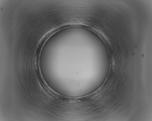 X0000085210684200703090829