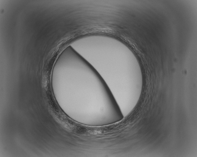 X0000085210687200703090829
