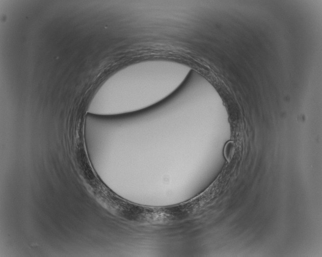 X0000085210695200703090829