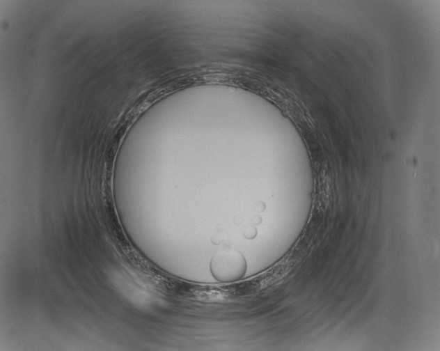 X0000085210698200703090829