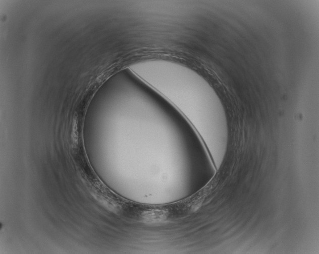 X0000085210700200703090829