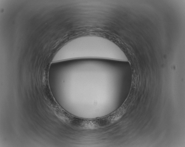 X0000085210704200703090829