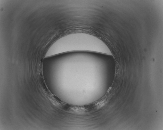X0000085210712200703090829