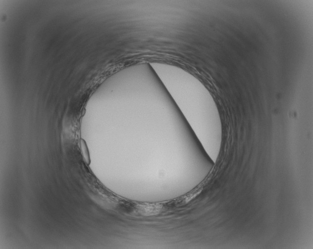 X0000085210713200703090829