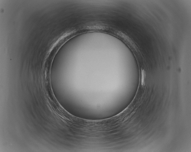 X0000085210723200703090828