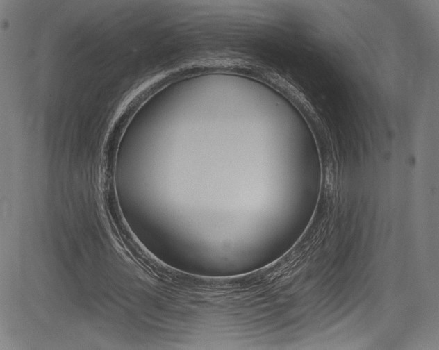 X0000085210724200703090828