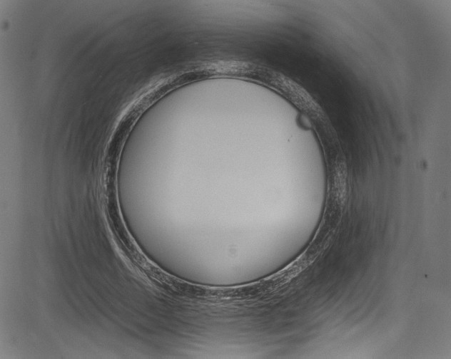 X0000085210730200703090828