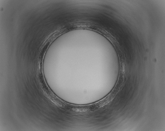 X0000085210733200703090828
