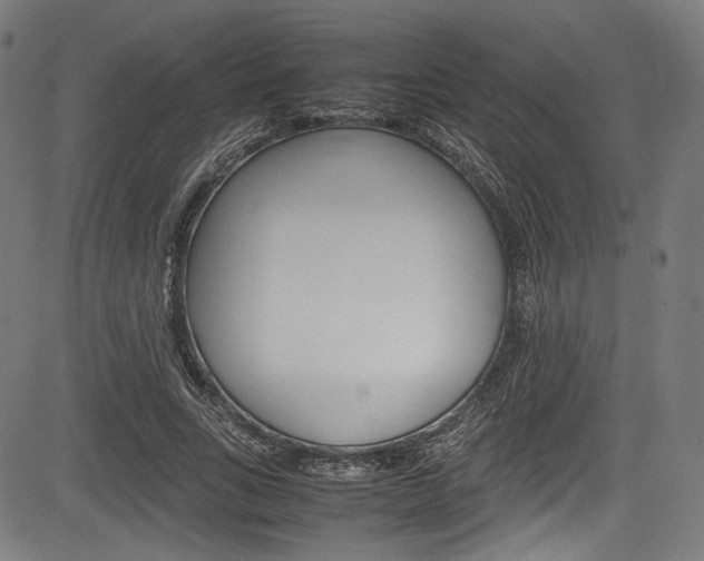 X0000085210735200703090828