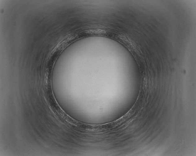 X0000085210739200703090828