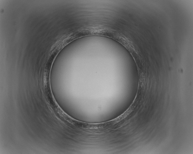 X0000085210740200703090828