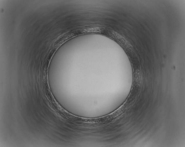 X0000085210741200703090828
