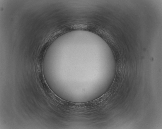 X0000085210743200703090828