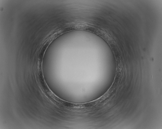 X0000085210744200703090828