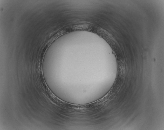 X0000085210745200703090828