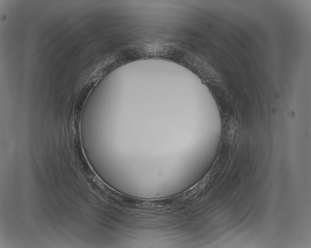 X0000085210746200703090828