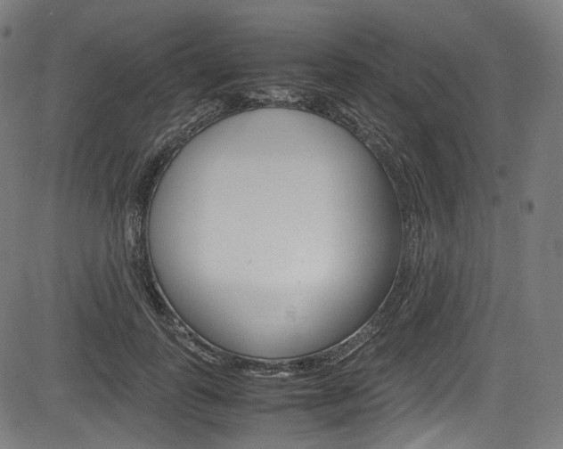 X0000085210747200703090828