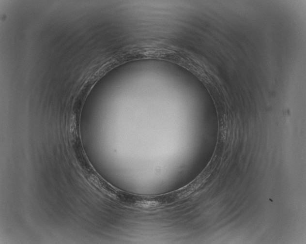X0000085210748200703090828