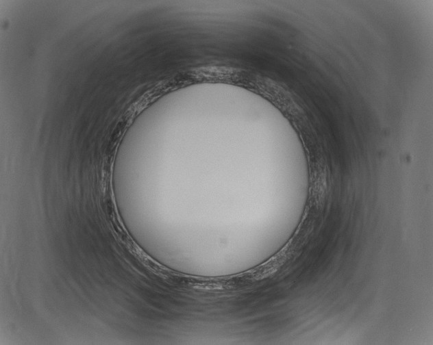 X0000085210749200703090828