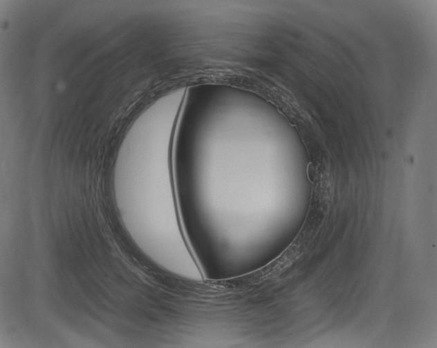 X0000085210750200703090828