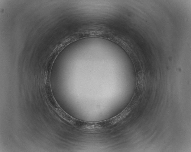X0000085210752200703090828