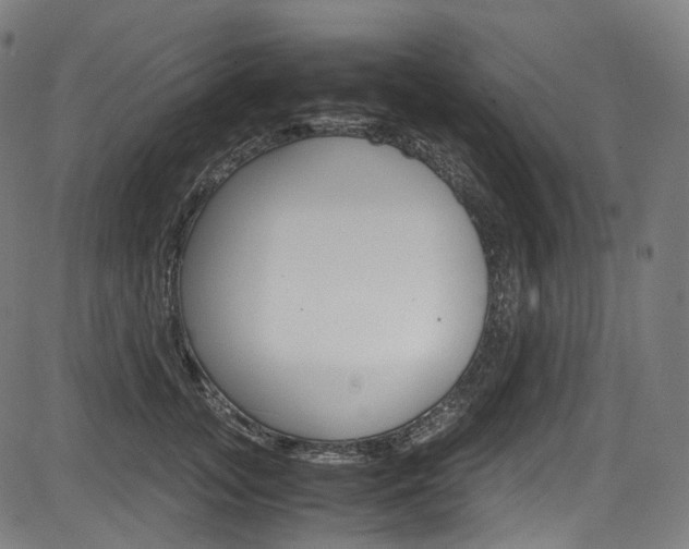 X0000085210755200703090828