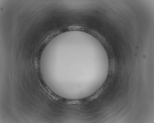 X0000085210761200703090829