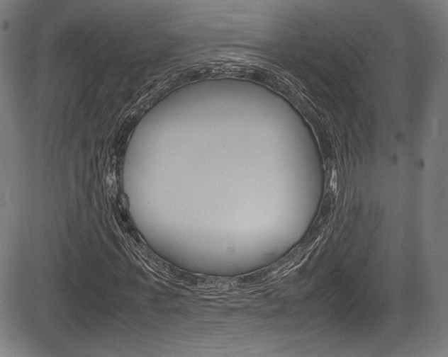 X0000085210771200703090828