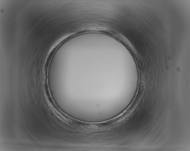 X0000085210787200703090828