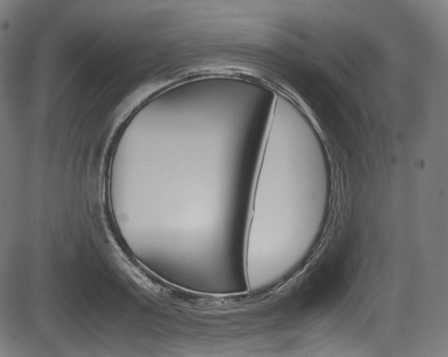 X0000085210795200703090827
