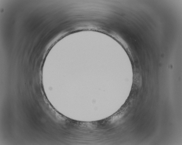 X0000085210807200703090827