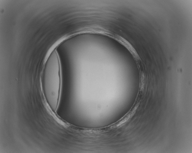 X0000085210812200703090827