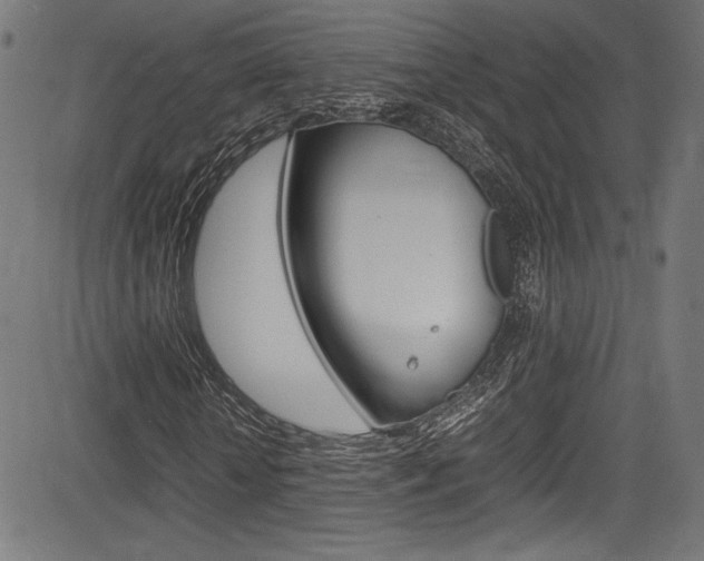 X0000085210818200703090826