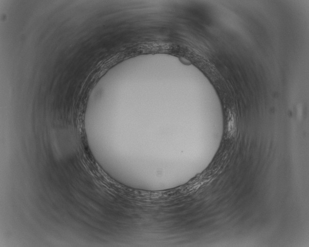 X0000085210819200703090826