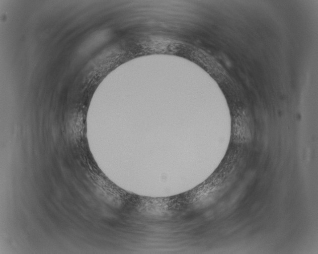 X0000085210820200703090826