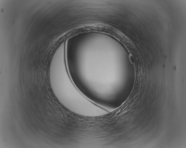 X0000085210822200703090826