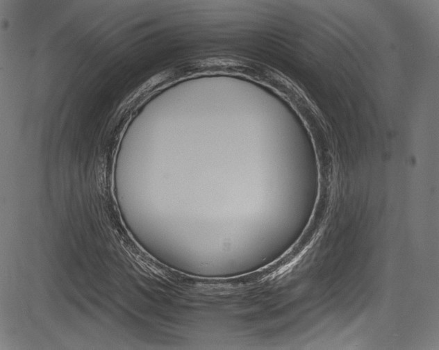 X0000085210825200703090826