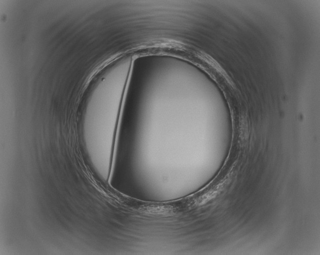 X0000085210826200703090826