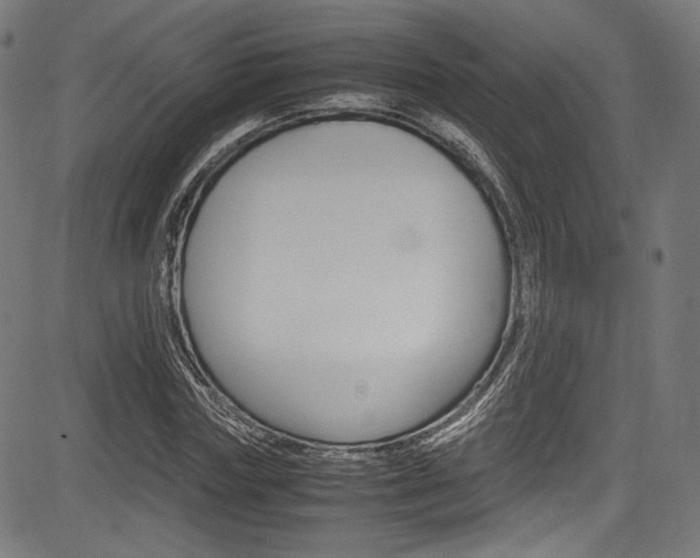 X0000085210827200703090826
