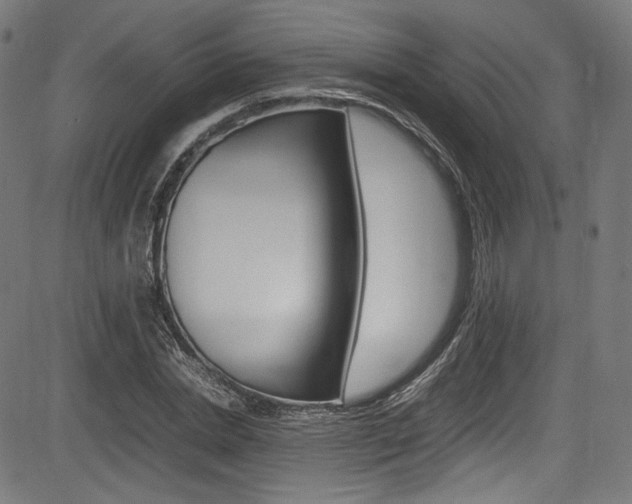 X0000085210830200703090827