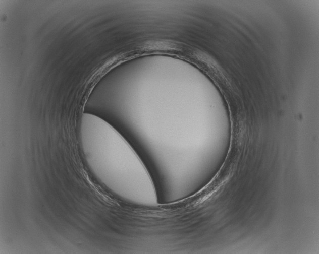 X0000085210833200703090827